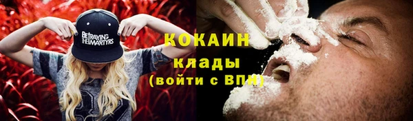 spice Алзамай