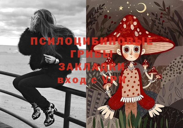 эйфоретик Елизово