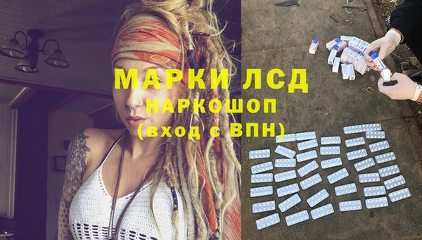 spice Алзамай