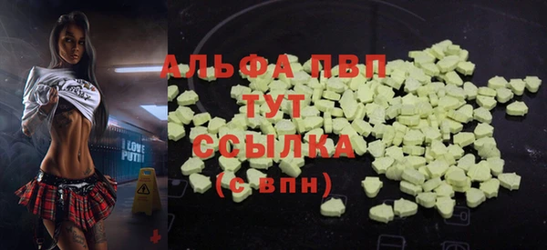 соль ск Ельня