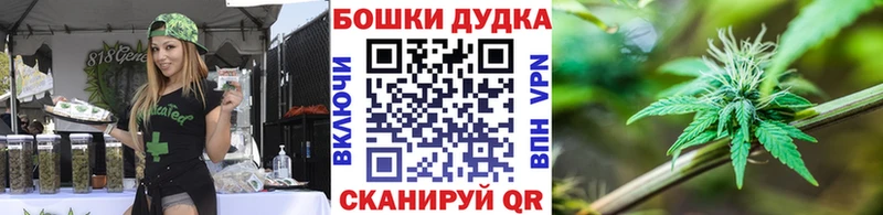 где продают   Себеж  дарк нет как зайти  Бошки Шишки SATIVA & INDICA 